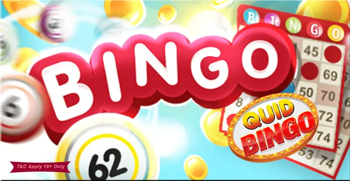 Novibet Bingo